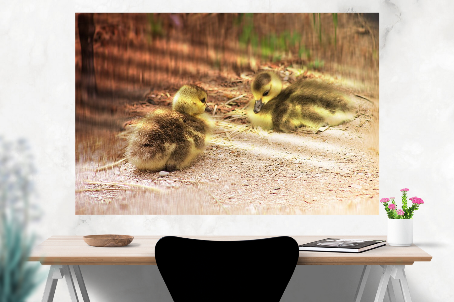 Baby duck photography print